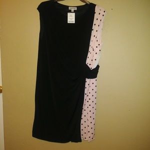 NWT Shelby & Palmer 3X Black/Blush Dress